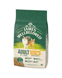 JAMES WELLBELOVED Adult 4 kg Kompletné krmivo pre dospelé mačky vo veku 1-7 rokov bohaté na morčacie mäso