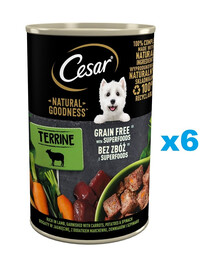 CESAR Prírodná dobrota v terine 6x400 g bohatá na jahňacie mäso s mrkvou, zemiakmi a špenátom