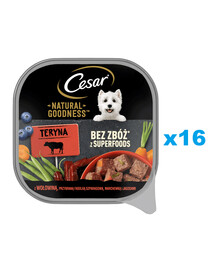CESAR Natural Goodness Mousse podnos 16x100 g kompletné mokré krmivo pre dospelých psov s hovädzím mäsom, zdobenými zelenými fazuľkami, mrkvou a bobuľovým ovocím