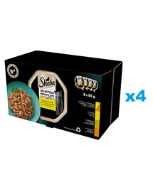 SHEBA Selection Hydinové príchute vaničky 32x85 g kompletné krmivo pre dospelé mačky v omáčke kúsky s kuracím a morčacím, kuracím, hydinovým, morčacím