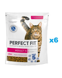 PERFECT FIT Adult 1+ 6x750 g kompletné suché krmivo pre dospelé mačky bohaté na čerstvého lososa