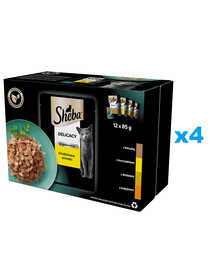 SHEBA Delicacy Hydinové príchute vrecúška 48x85 g kompletné krmivo pre dospelé mačky v kúskoch želé s: kačicou, kuracím mäsom, hydinou, morkou