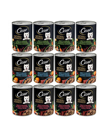 CESAR 12x400g - s jahňacím, kuracím a hovädzím