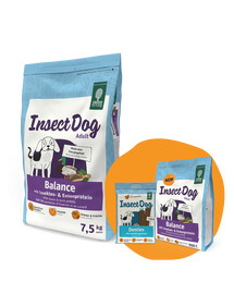 GREEN PETFOOD InsectDog Balance 7,5kg + 900g & Denties GRATIS