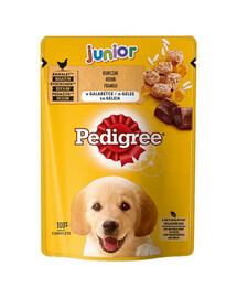 Pedigree Junior krmivo pre šteňatá Kurča s ryžou v želé 100g