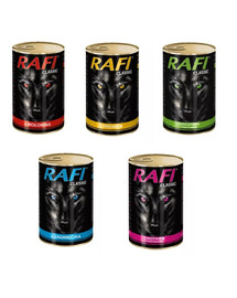 DOLINA NOTECI Rafi Classic Mix príchutí 1240 g x 24 ks