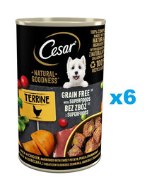 CESAR Prírodná dobrota v terine 6x400g bohatá na kuracie mäso so sladkými zemiakmi, hráškom a brusnicami
