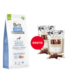 BRIT Care Dog Sustainable Adult Large Breed Chicken & Insect 12kg + WOOLF Chicken And Rawhide Twister 2 x 100g GRATIS