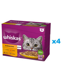 WHISKAS Adult kapsička 48x85g Hydinové krmivo v želé s kuraťom, kačicou, hydinou, morkou