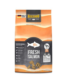 Mastercraft Fresh salmon Świeży łosoś 500 gr