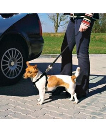 TRIXIE Bezpečnostný pás do auta pre psa M