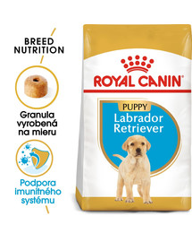 ROYAL CANIN Labrador Puppy 12 kg granule pre šteňa labradora