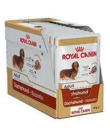 ROYAL CANIN Jazvečík Adult 12x85g