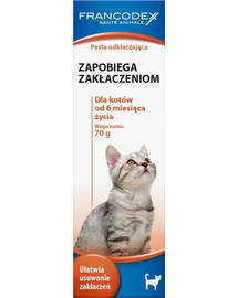 FRANCODEX Maltózová pasta 70 g