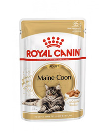 ROYAL CANIN Mainecoon 12 x 85 g