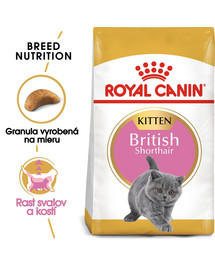 ROYAL CANIN British Shorthair Kitten 10kg granule pre britské krátkosrsté mačiatka