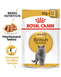ROYAL CANIN British Shorthair Gravy 12x85g
