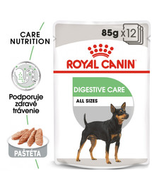 ROYAL CANIN Digestive Care Dog Loaf 85g x12 kapsička s paštétou pre psy s citlivým trávením