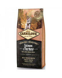 CARNILOVE Carnilove Salmon & Turkey for Large Breed Puppy 12 kg