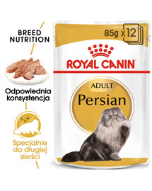 ROYAL CANIN Persian Adult 12x85 g mokré krmivo- paštika, pre dospelé perzské mačky