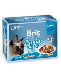 BRIT Premium Cat Delicate Fillets in Gravy Family Plate 12 x 85 g
