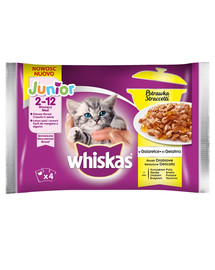 Whiskas Junior Casserole výber s hydinovou v želé 13 x 4x85g
