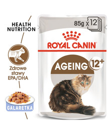 ROYAL CANIN Ageing +12 Jelly 12x85g kapsička pre staré mačky v želé