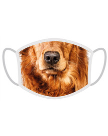FERA Ochranné rúško Zlatý retriever