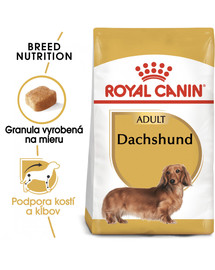 ROYAL CANIN Dachshund adult 500g granule pre dospelého jazvečíka