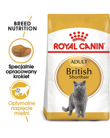 ROYAL CANIN British Shorthair Adult 4kg granule pre britské krátkosrsté mačky
