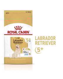 ROYAL CANIN Labrador Retriever Adult 5+ 12 kg granule pre labrodorské retrívry starších ako 5 rokov