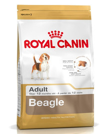 ROYAL CANIN Beagle Adult 2 x 12 kg