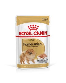ROYAL CANIN Pomeranian Adult  paštéta 12x85g