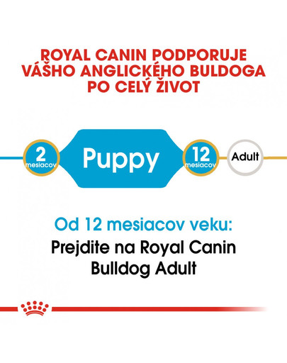 ROYAL CANIN Bulldog Puppy 2 x 12 kg granule pre šteňa buldoga