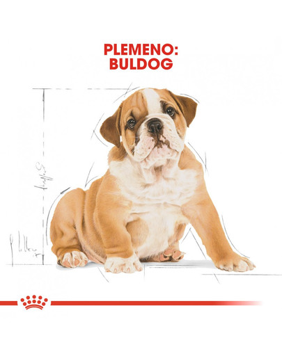 ROYAL CANIN Bulldog Puppy 2 x 12 kg granule pre šteňa buldoga