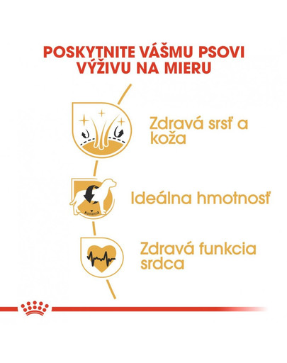 ROYAL CANIN Cocker adult 2 x 12 kg granule pre dospelého kokeršpaniela