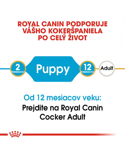 ROYAL CANIN Cocker Puppy 3 kg granule pre šteňa kokeršpaniela