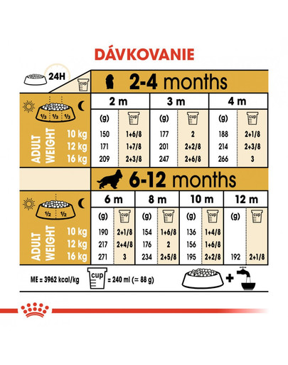 ROYAL CANIN Cocker Puppy 3 kg granule pre šteňa kokeršpaniela