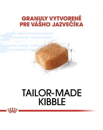 ROYAL CANIN Dachshund Adult 1,5 kg granule pre dospelého jazvečíka