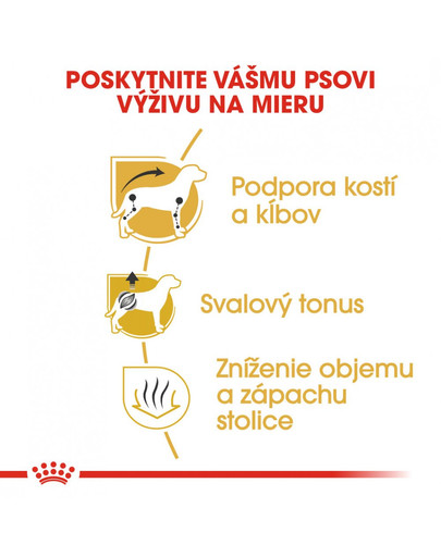 ROYAL CANIN Dachshund  2 x 7.5 kg granule pre dospelého jazvečíka