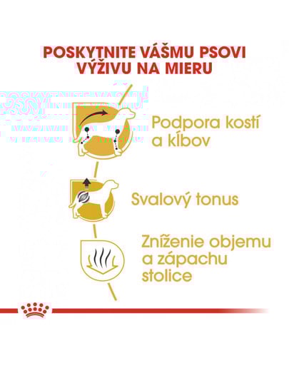 ROYAL CANIN Dachshund Adult 1,5 kg granule pre dospelého jazvečíka