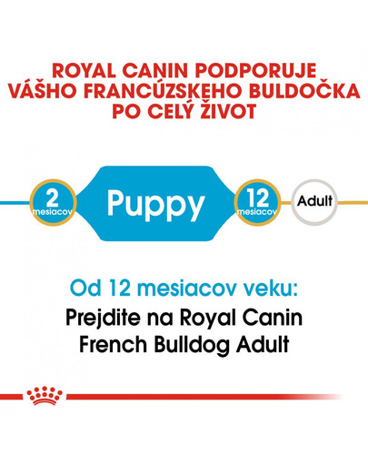 ROYAL CANIN French Bulldog Puppy 2 x 12 kg granule pre šteňa francúzskeho buldočka