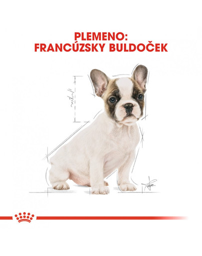 ROYAL CANIN French Bulldog Puppy 2 x 12 kg granule pre šteňa francúzskeho buldočka