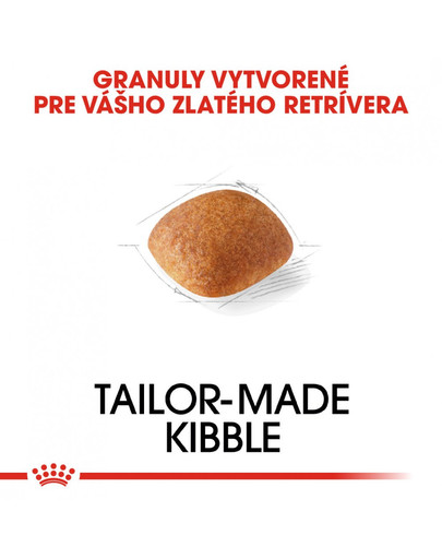 ROYAL CANIN Golden Retriever Adult 3kg granule pre dospelého zlatého retrievera