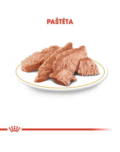 ROYAL CANIN Yorkshire Loaf 12 x 85g