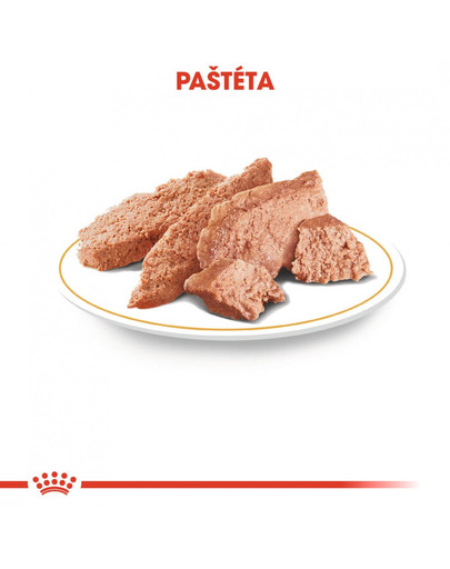 ROYAL CANIN Yorkshire Loaf 85g kapsička s paštétou pre jorkšíra