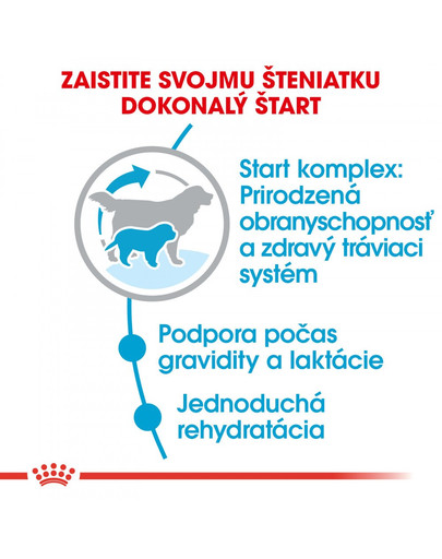 ROYAL CANIN Giant starter mother & babydog 1 kg
