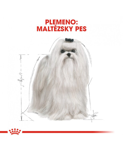ROYAL CANIN Maltese Adult 1.5 kg granule pre maltézskeho psíka