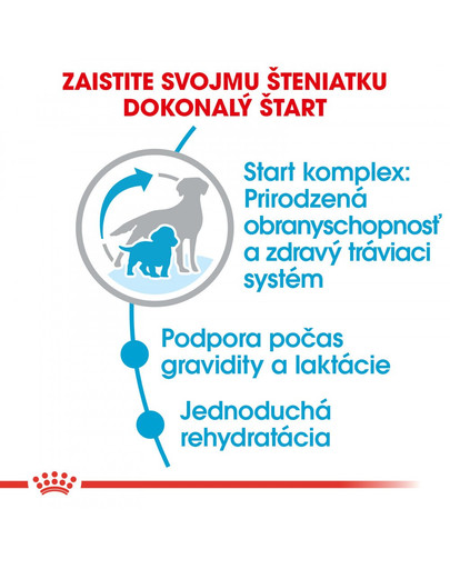 ROYAL CANIN Medium starter mother & babydog 1 kg granule pre brezivé alebo dojčiace suky a šteniatka.