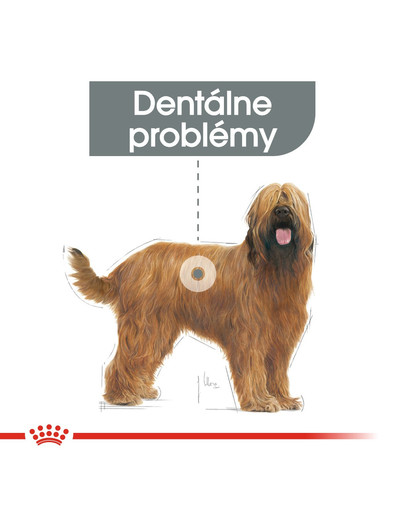 ROYAL CANIN Maxi Dental Care 3 kg
